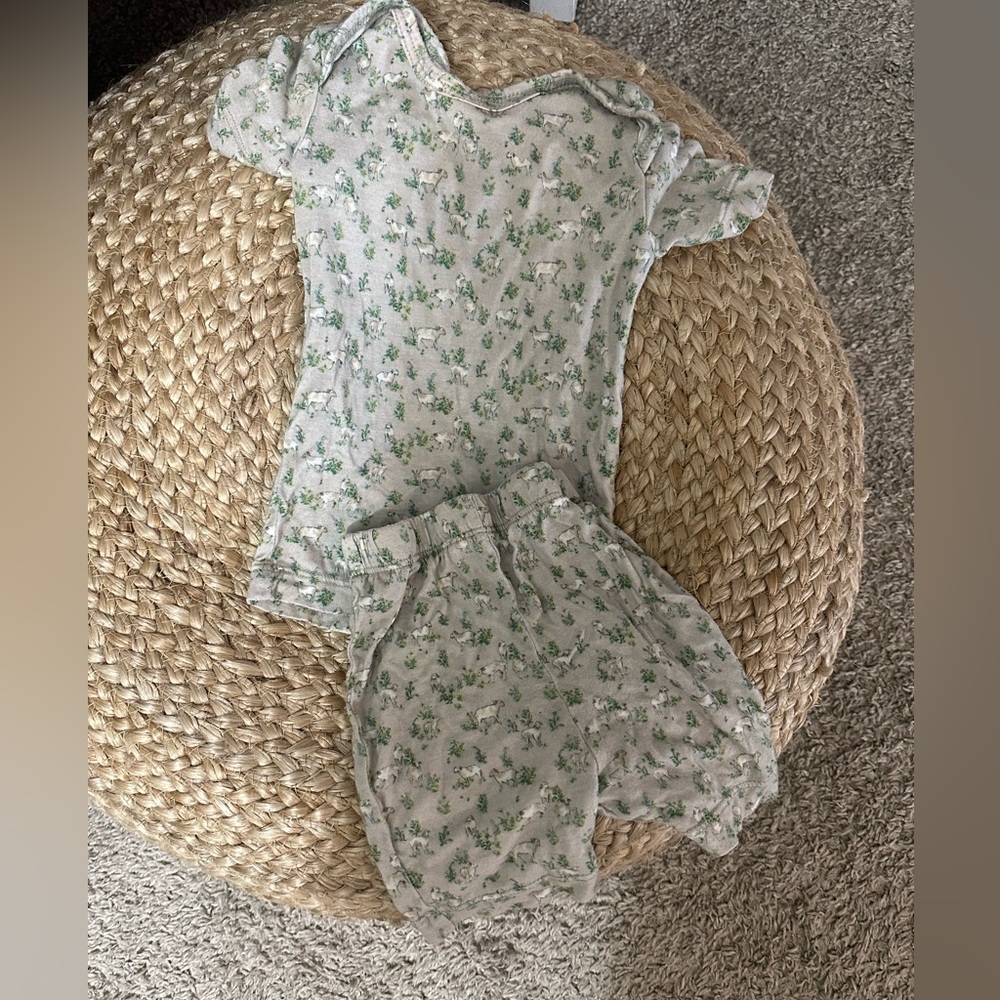 Solly baby shorts set lamb print